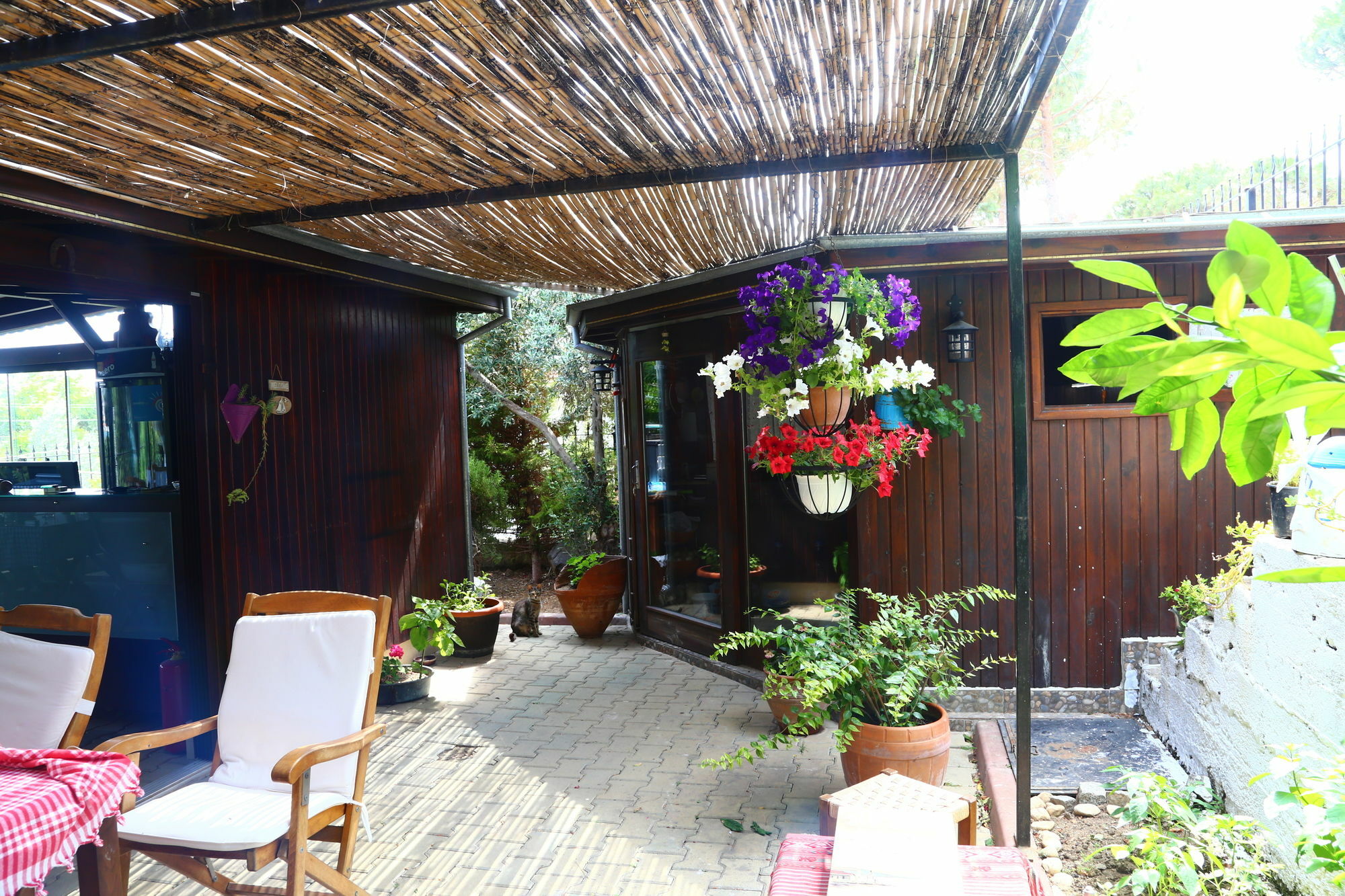 Guzelyali Hotel Ayvalik Bagian luar foto